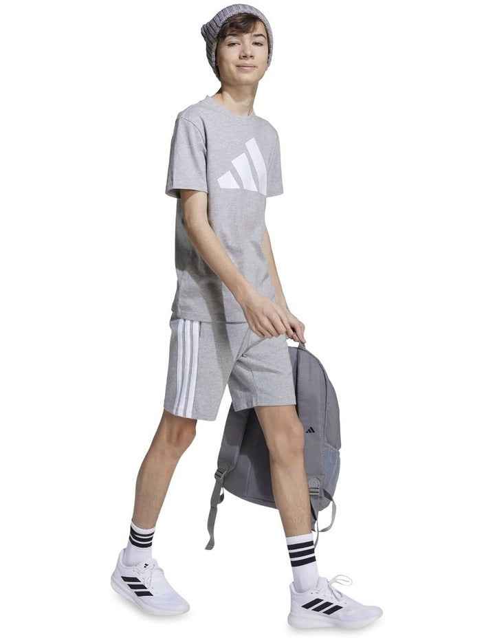 Essentials T-shirt in Grey