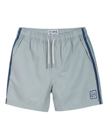 The All Day Stripe Swim Trunk (3-7 Years) in Meadow