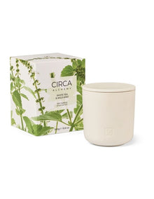 Alchemy Tea And Wild Mint Soy Candle 300g