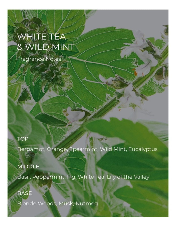 Alchemy Tea And Wild Mint Hand Lotion 450ml