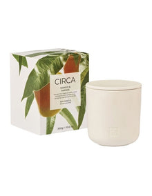 Mango and Papaya Soy Candle 300g