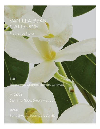 Vanilla Bean & Allspice Fragrance Diffuser 250ml