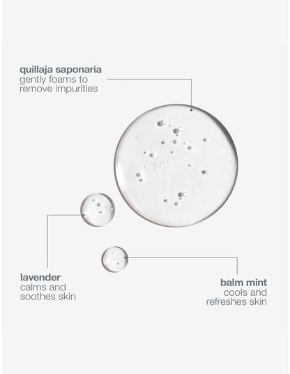 Special Cleansing Gel Refill 500ml