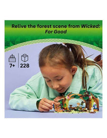 Wicked Elphaba's Retreat 75687 Toy Set
