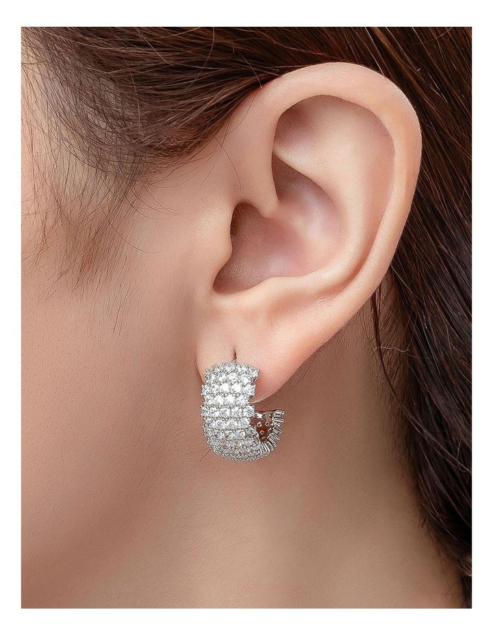 Hoop Earrings in Silver