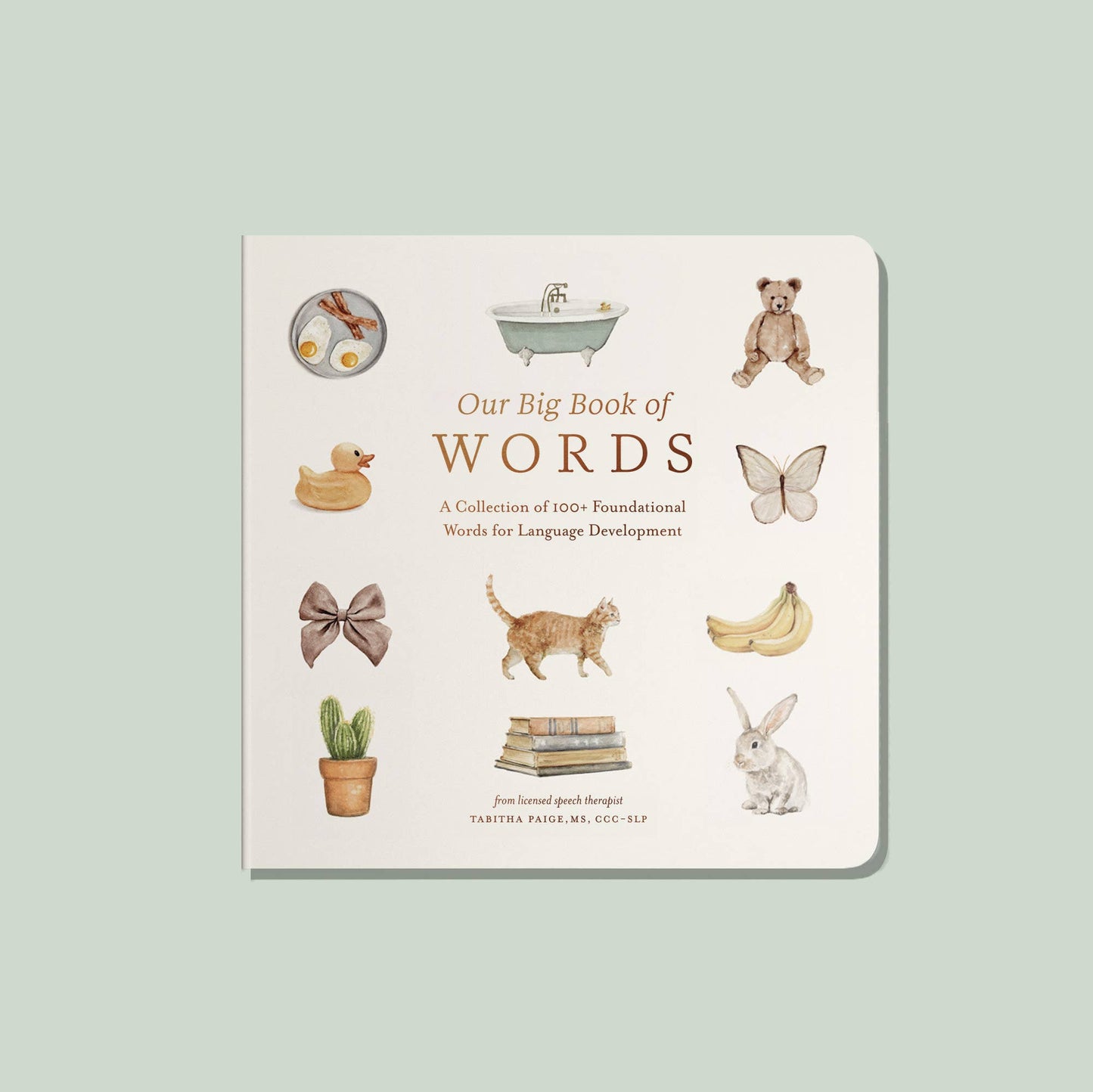 Our Big Book of First Words (Board Book) by Paige Tate Baby First Word Book Gift Idea Baby Toys Early Literacy for Baby