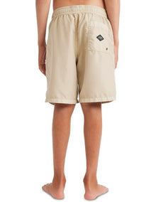 All Day Overdye Layback 16 Boardshorts in Brown