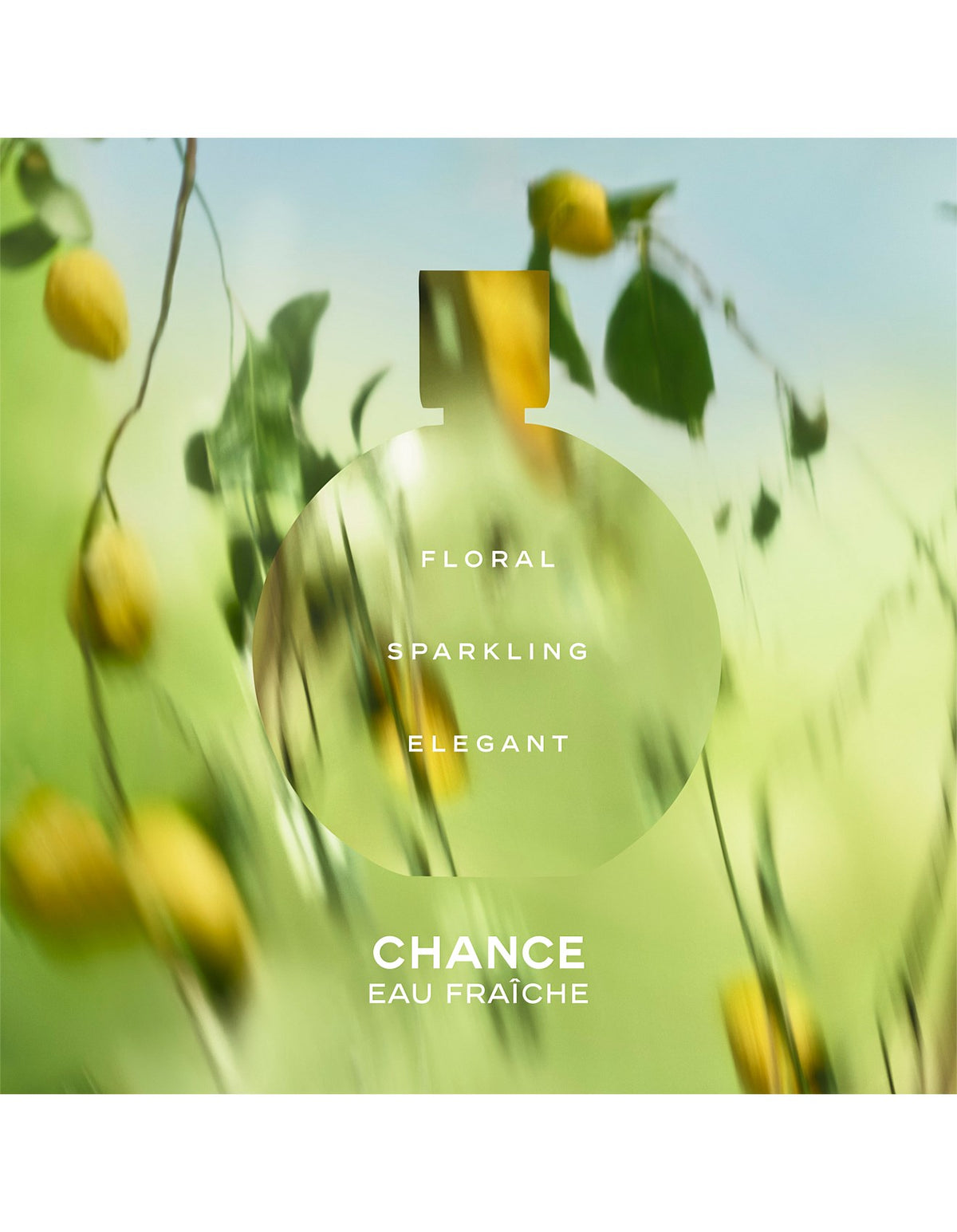 CHANCE EAU FRAÎCHE Eau de Parfum Spray 100ml