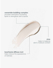 Stabilizing Repair Cream 50ml