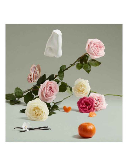 Duchess Rose Eau De Parfum 10ml