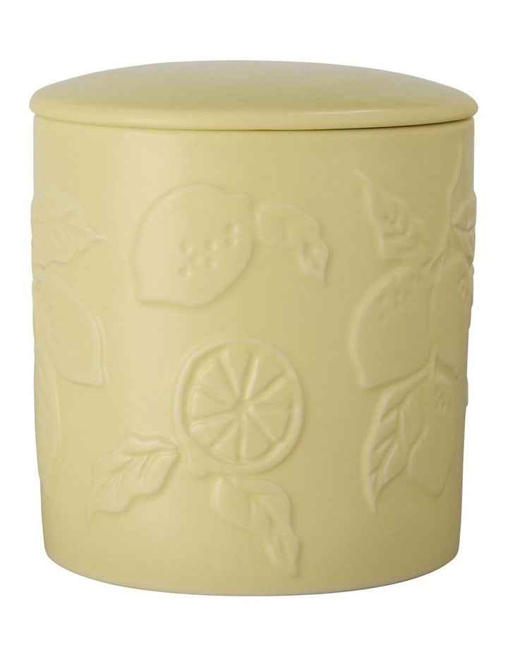 Botanika Citrus Limon Fragrance Candle 290g