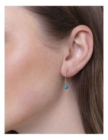 Opal Hook Earrings in Gold