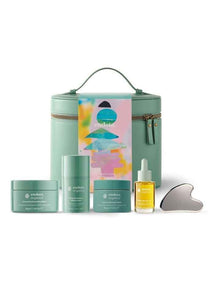 Glow Getter Facial Kit