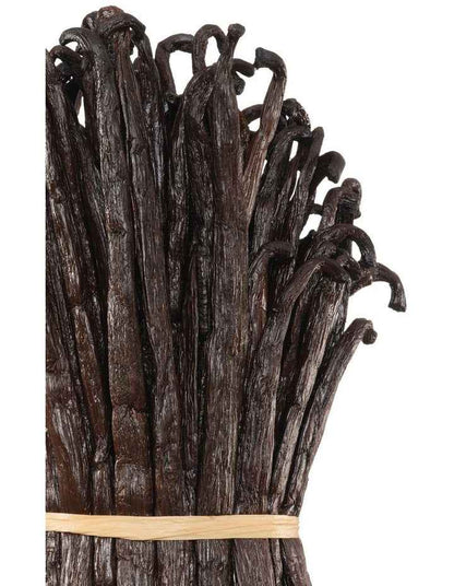 Vanilla Powder Extrait Parfum