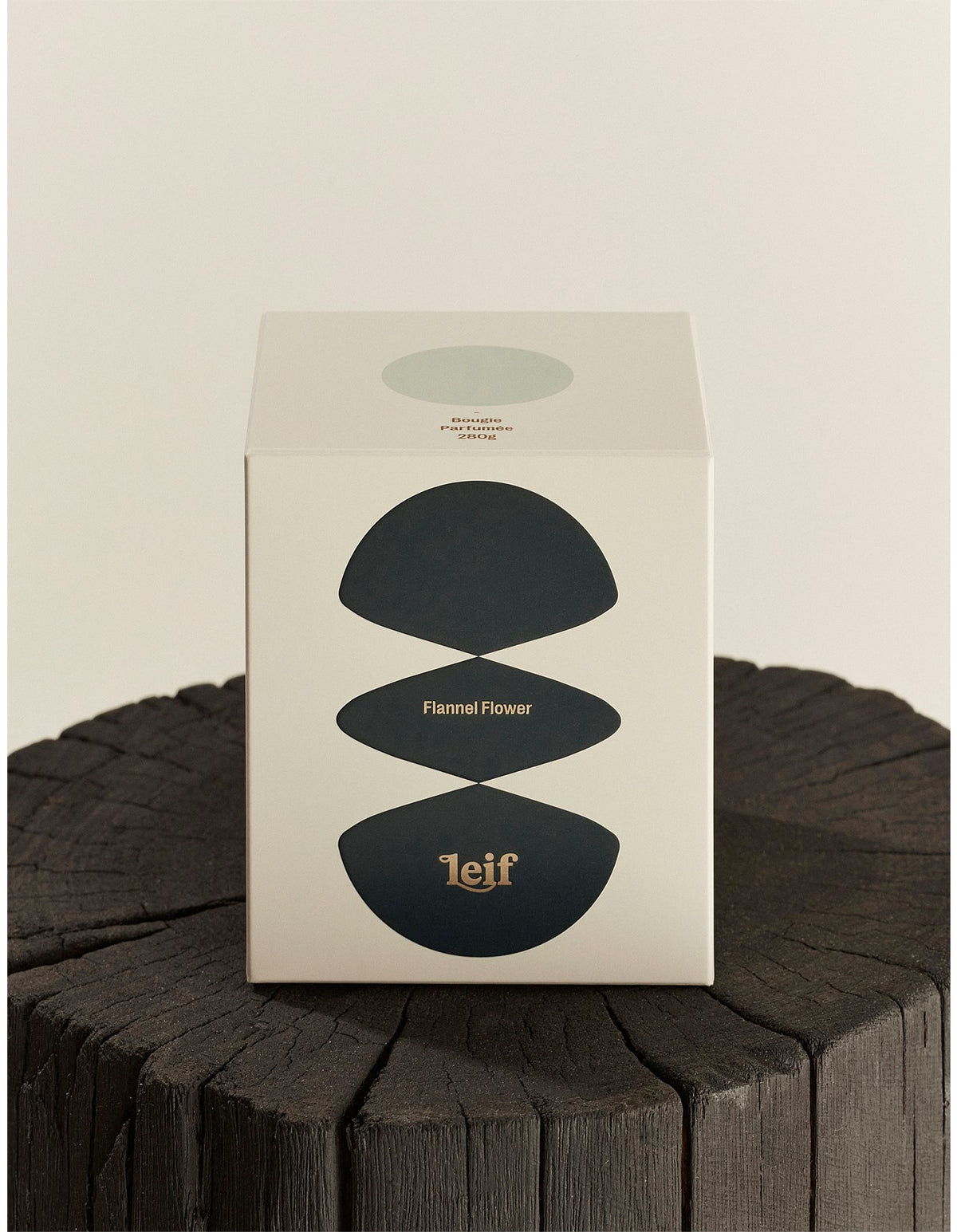Flannel Flower Candle 280g