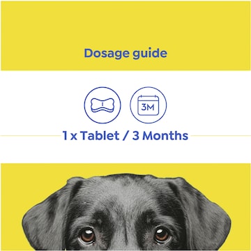 Totalcare Allwormer For Dogs 4 pack