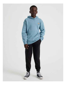 Essentials Hoodie in Bluestone