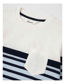 Long Sleeve Splice Tee in Blue Stripe