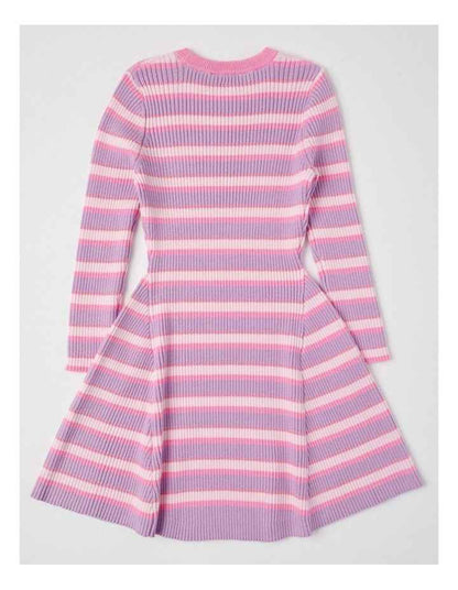 Long Sleeve Rib Knit Dress in Purple & Pink Stripe