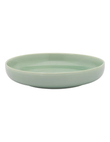 ELEMENT DINNER BOWL 22CM DEW