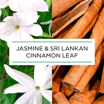 Botanica Auto Air Freshener Refill Jasmine & Sri Lankan Cinnamon 228mL