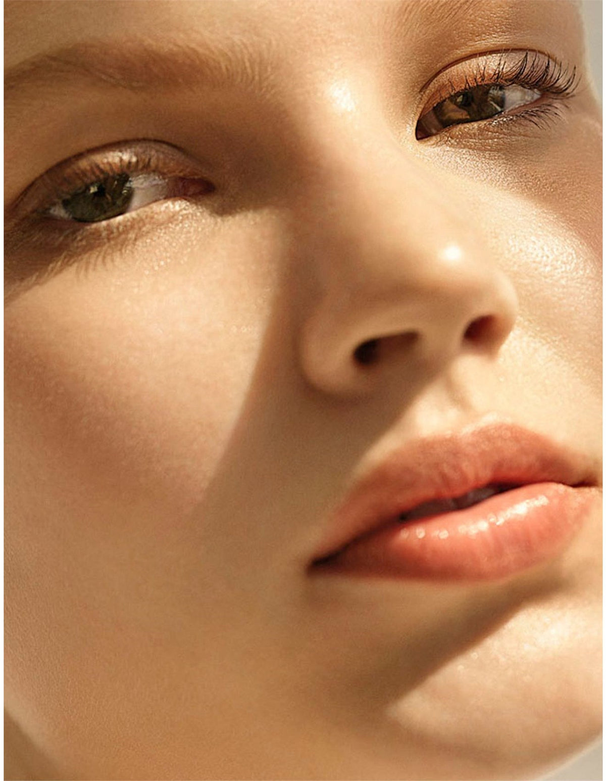 The Renewal Oil Little Luxury