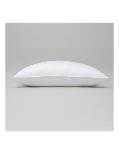 ACTUEL STANDARD PILLOW FIRM