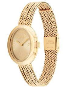 Sammy Ionic Plated Thin Steel Dial Watch 14504567 in Gold