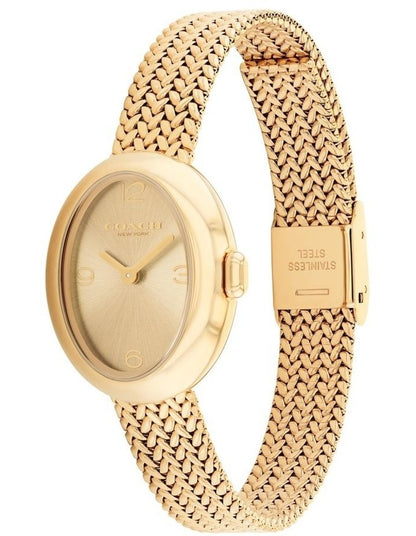 Sammy Ionic Plated Thin Steel Dial Watch 14504567 in Gold