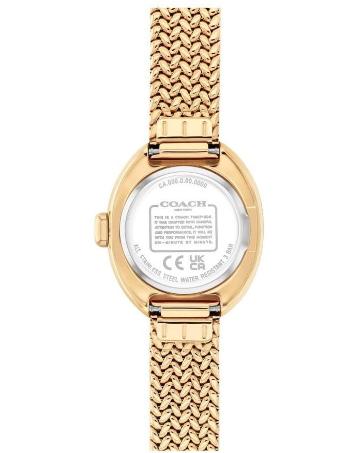 Sammy Ionic Plated Thin Steel Dial Watch 14504567 in Gold