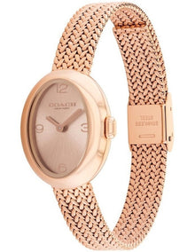 Sammy Ionic Plated Steel Watch 14504568 in Rose Gold