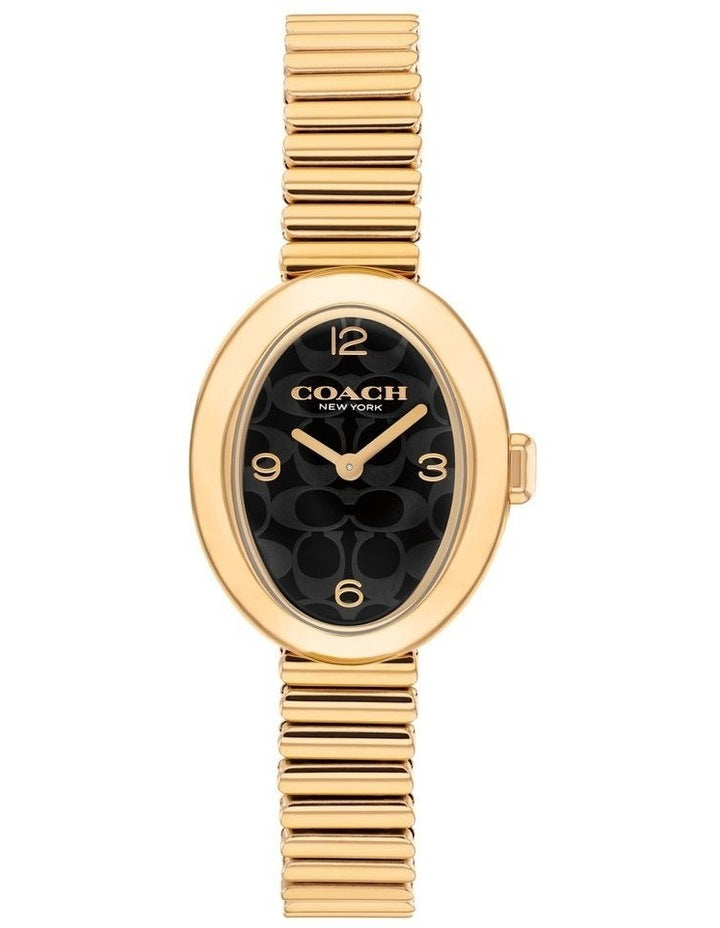 Sammy Ionic Plated Steel Watch 14504571 in Black
