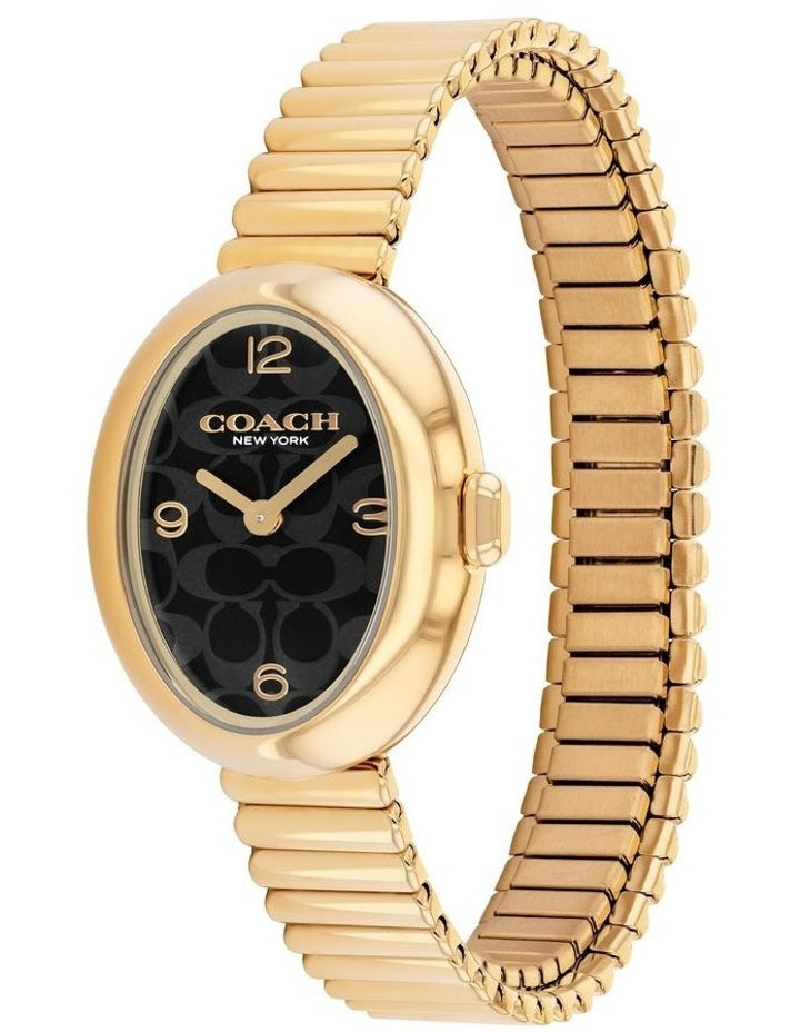 Sammy Ionic Plated Steel Watch 14504571 in Black