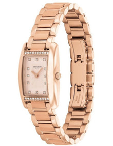 Reese Ionic Plated Steel Watch 14504589 in Carnation Gold