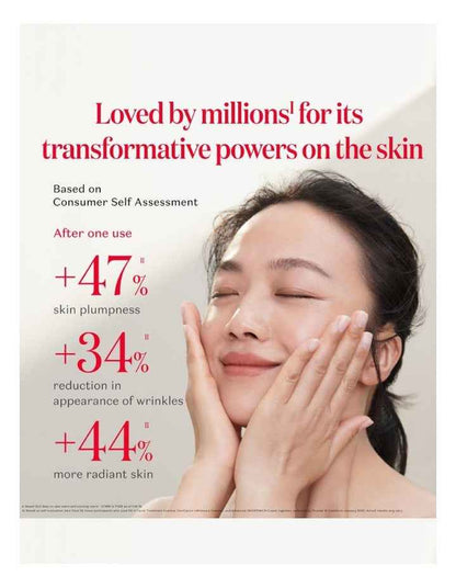 PITERA Best Collection Set