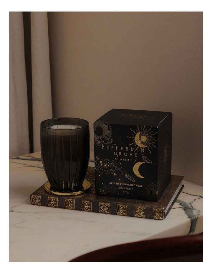 Spiced Pumpkin Treat Large Candle 370g