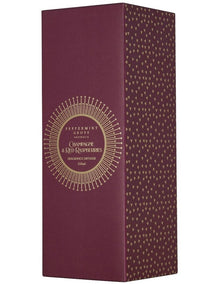 Champagne And Raspberries Large Diffuser 350ml