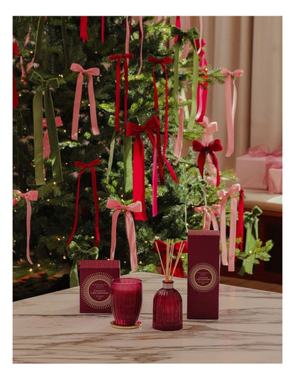 Champagne And Raspberries Large Diffuser 350ml