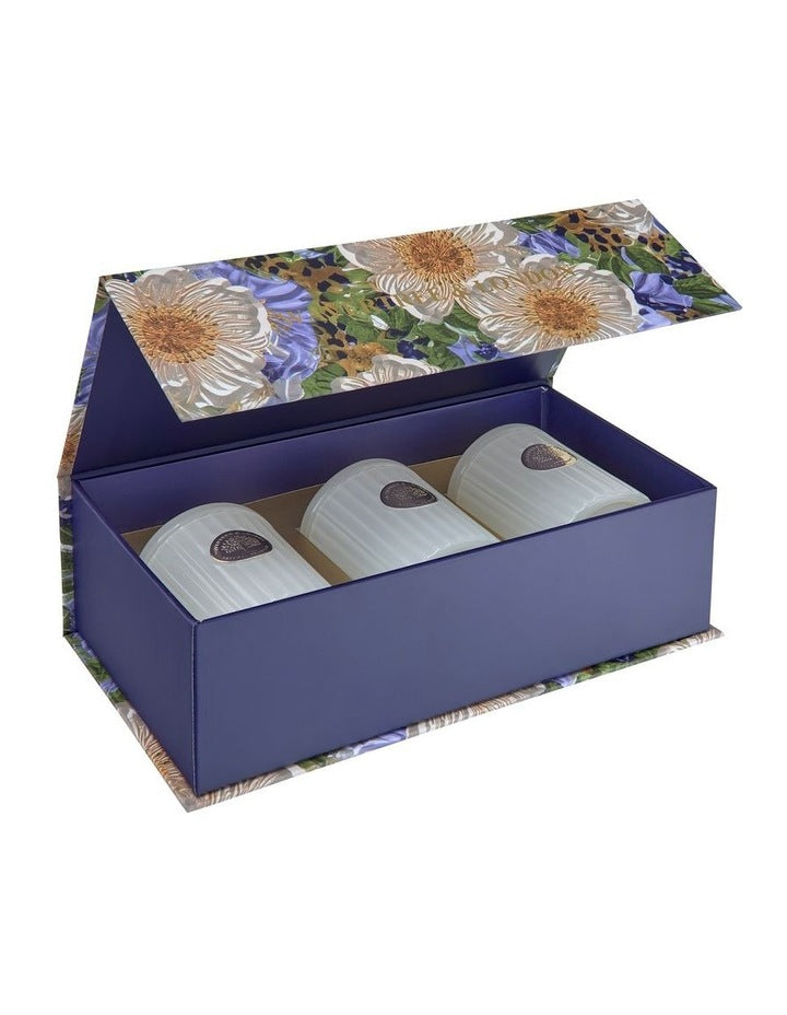 Dreams Mini Candle Trio Gift Pack