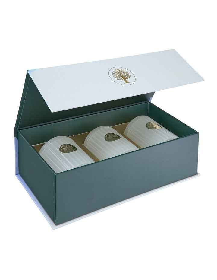 Christmas Mini Candle Trio Gift Pack