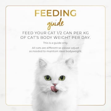 Fancy Feast Chicken Feast Classic Pate Wet Cat Food 85g