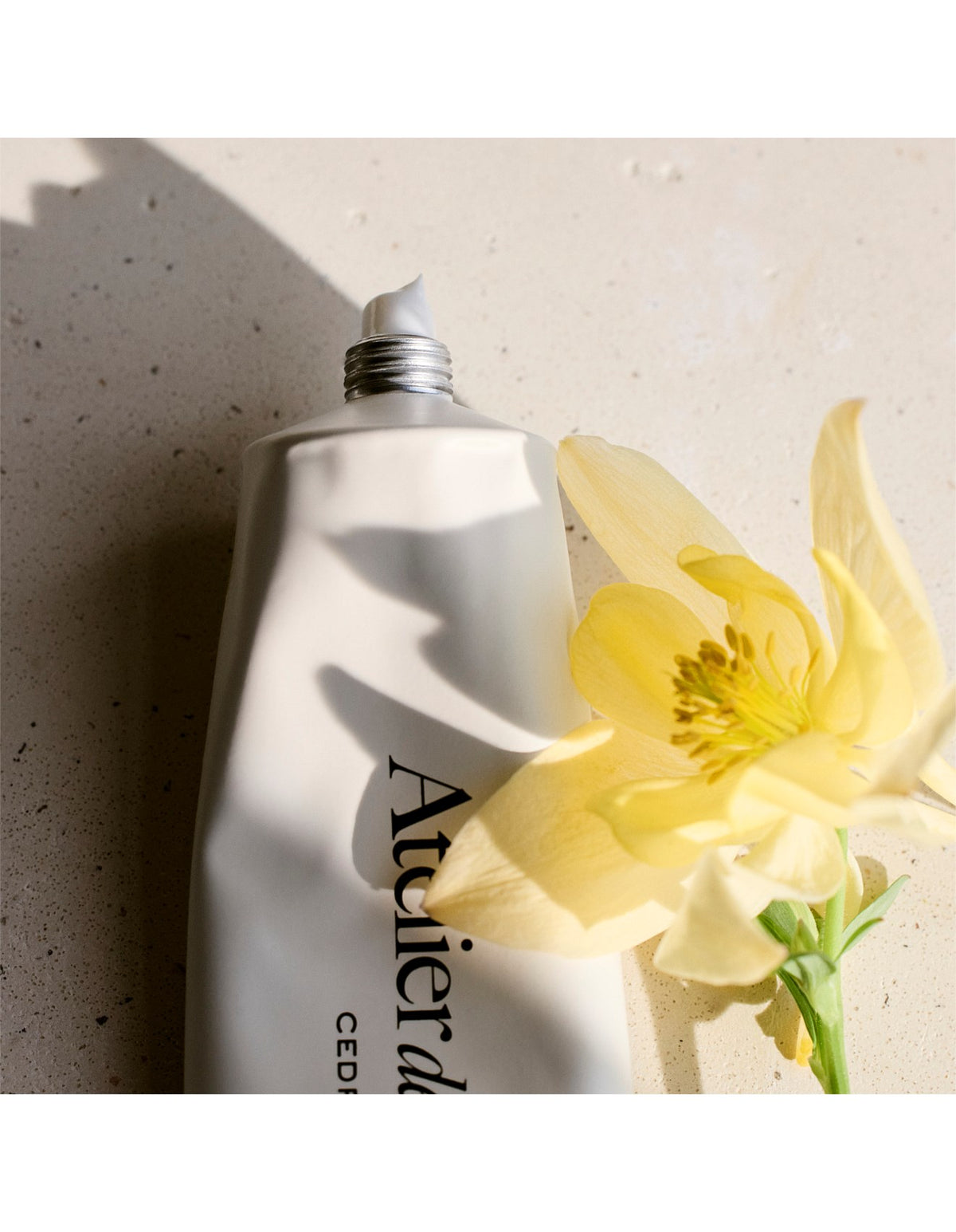 Chloé Atelier Des Fleurs Cedrus Perfumed Hand Cream 50ml