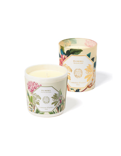 Natural History Museum Frangipani Candle Refill 185g