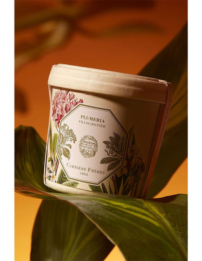 Natural History Museum Frangipani Candle Refill 185g