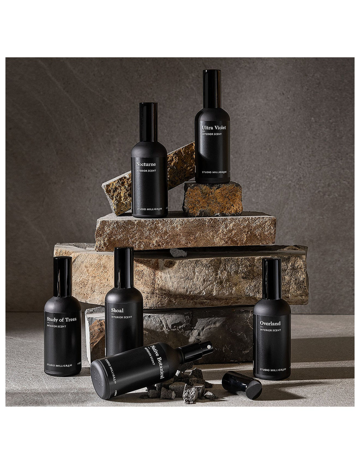Study Of Trees Sensory Interior Scent 100ml