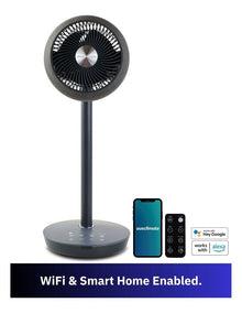 EcoSmart Pedestal Air Circulator Fan ACAC300CB in Charcoal Black