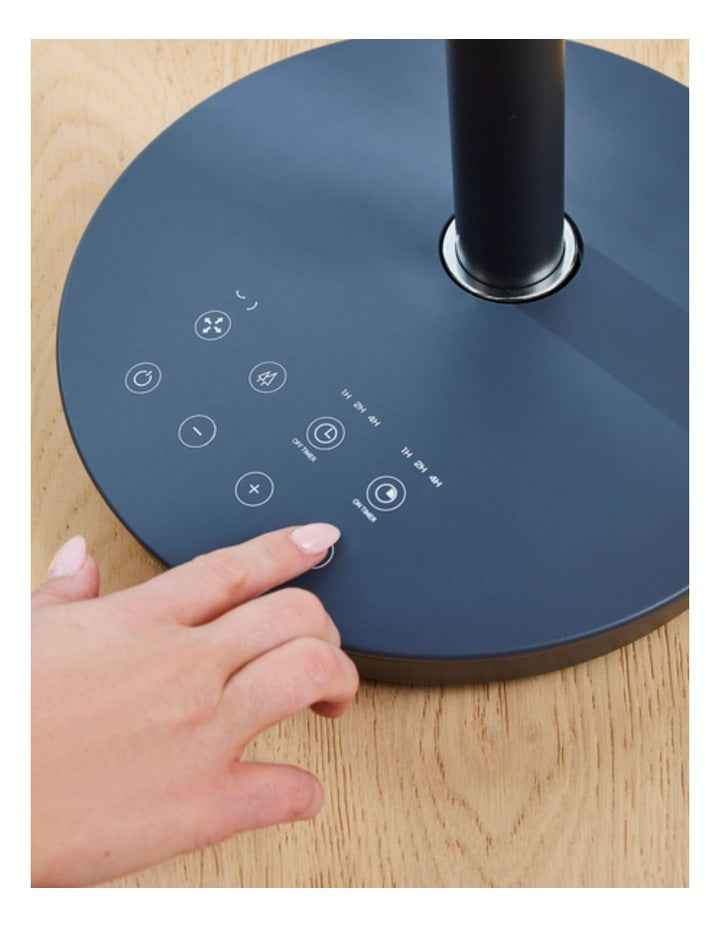 EcoSmart Pedestal Air Circulator Fan ACAC300CB in Charcoal Black