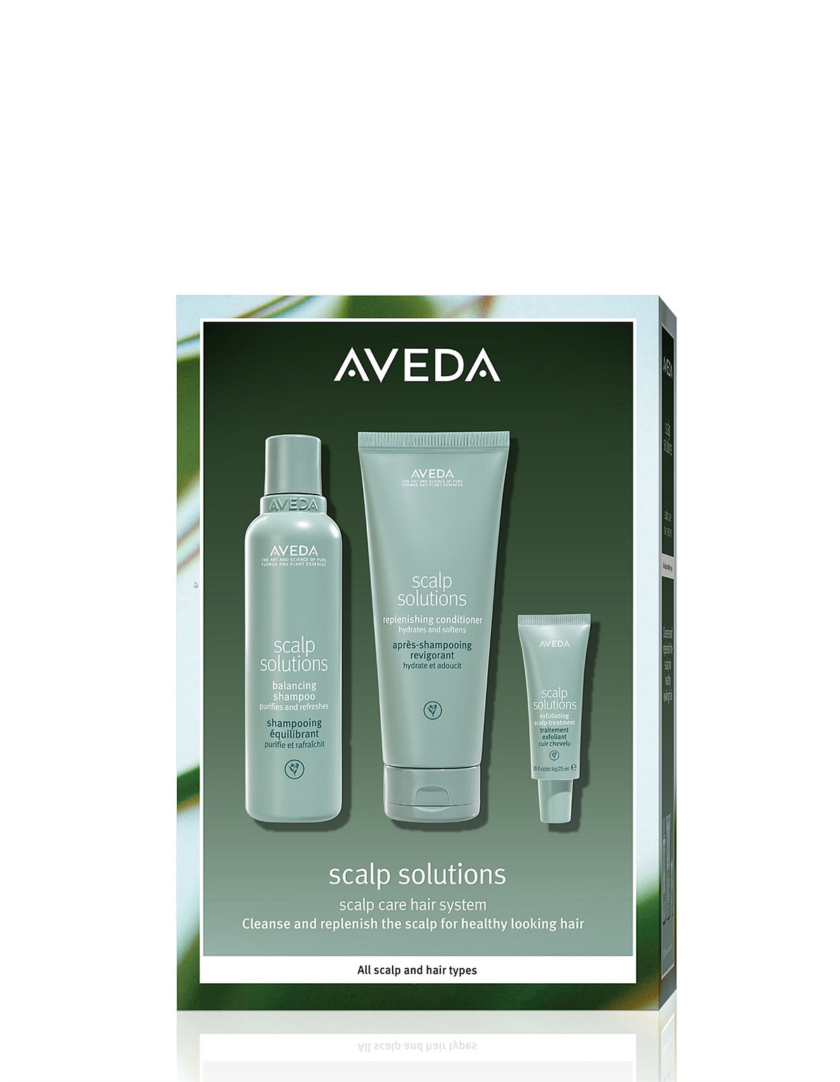 Scalp Solutions Value Kit