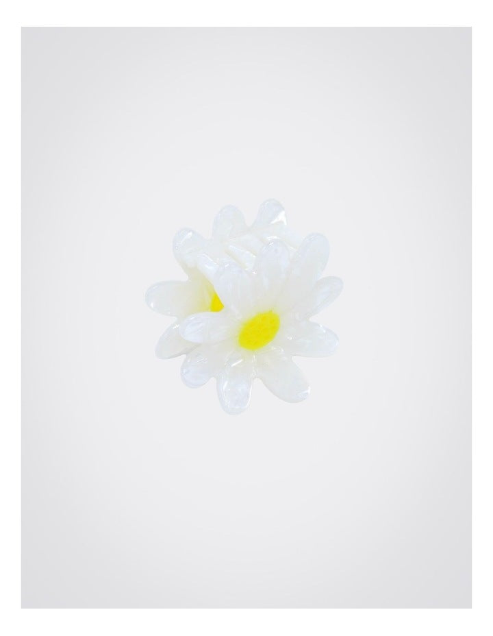 Daisy Hair Claw 2 Pack in Multi