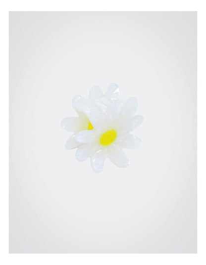 Daisy Hair Claw 2 Pack in Multi